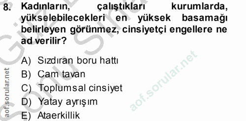 8. soru: Kadınların, Çalıştıkları kurumlarda, yükselebilecekleri en yüksek basamağı belirleyen görünmez, cinsiyetçi engellere…