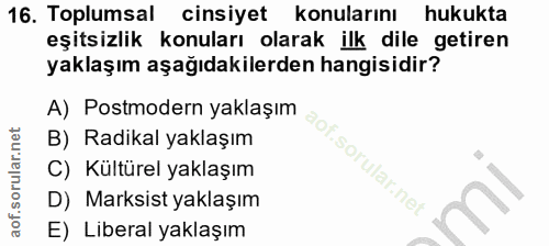 16. soru: Toplumsal cinsiyet konularını hukukta eşitsizlik konuları olarak ilk dile getiren yaklaşım aşağıdakilerden hangisidir…