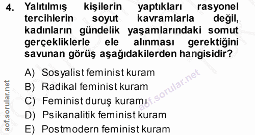 4. soru: Yalıtılmış kişilerin yaptıkları rasyonel tercihlerin soyut kavramlarla değil, kadınların gündelik yaşamlarındaki somu…