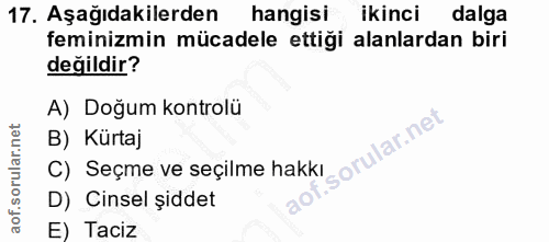 17. soru: Aşağıdakilerden hangisi ikinci dalga feminizmin mücadele ettiği alanlardan biri değildir? A) Doğum kontrolü B) Kürtaj…