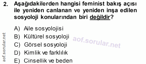2. soru: Aşağıdakilerden hangisi feminist bakış açısı ile yeniden canlanan ve yeniden inşa edilen sosyoloji konularından biri…