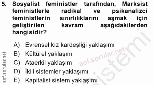 5. soru: Sosyalist feministler tarafindan, Marksist feministlerle radikal ve psikanalizci feministlerin sınırlılıklarını aşmak…