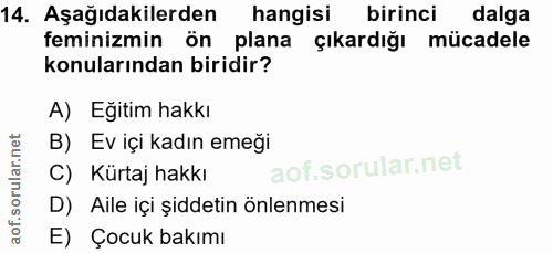 14. soru: Aşağıdakilerden hangisi birinci dalga feminizmin ön plana çıkardığı mücadele konularından biridir? A) Eğitim hakkı B)…