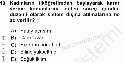 18. soru: Kadınların ilköğretimden başlayarak karar verme konumlarına giden süreç içinden düzenli olarak sistem dışına atılmala…