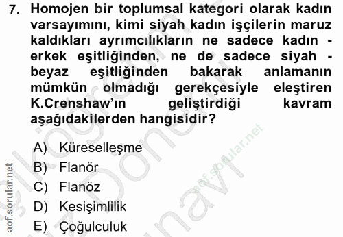 7. soru: Homojen bir toplumsal kategori olarak kadın varsayımını, kimi siyah kadın işçilerin maruz kaldıkları ayrımcılıkların…