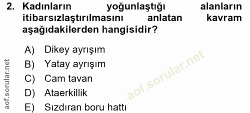 2. soru: Kadınların yoğunlaştığı alanların itibarsızlaştırılmasını anlatan kavram aşağıdakilerden hangisidir? A) Dikey ayrışım…