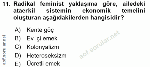 11. soru: Radikal feminist yaklaşıma göre, ailedeki ataerkil sistemin ekonomik temelini oluşturan aşağıdakilerden hangisidir? A…