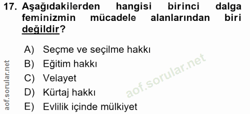 17. soru: Aşağıdakilerden hangisi birinci dalga feminizmin mücadele alanlarından biri değildir? A) Seçme ve seçilme hakkı B) Eğ…