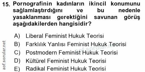 15. soru: Pornografinin kadınların ikincil konumunu sağlamlaştırdığını ve bu nedenle yasaklanması gerektiğini savunan görüş aşa…
