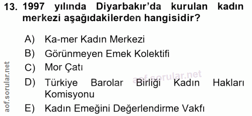 13. soru: 1997 yılında Diyarbakır'da kurulan kadın merkezi aşağıdakilerden hangisidir? A) Ka-mer Kadın Merkezi B) Görünmeyen Em…