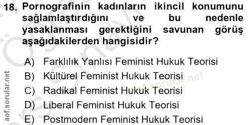 18. soru: Pornografinin kadınların ikincil konumunu sağlamlaştırdiğını ve nedenle yasaklanması gerektiğini savunan görüş aşağıd…