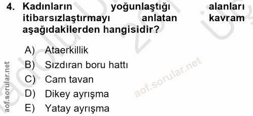 4. soru: Kadınların yoğunlaştığı alanları itibarsızlaştırmayı anlatan kavram aşağıdakilerden hangisidir? A) Ataerkillik B) Sız…