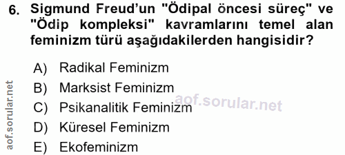 6. soru: Sigmund Freud'un "Ödipal öncesi süreç" ve "Odip kompleksi" kavramlarını temel alan feminizm türü aşağıdakilerden hang…