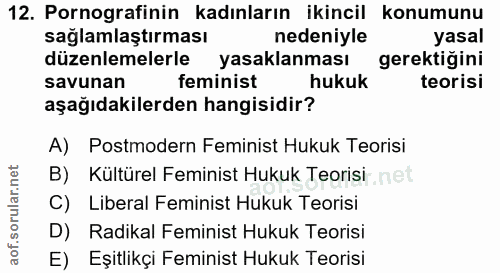 12. soru: Pornografinin kadınların ikincil konumunu saglamlaştırması nedeniyle yasal düzenlemelerle yasaklanması gerektiğini sa…