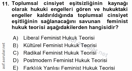 11. soru: Toplumsal cinsiyet eşitsizliğinin kaynağı olarak hukuki engelleri gören ve hukuktaki engeller kaldırıldığında toplums…