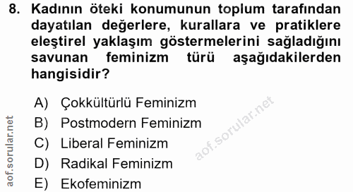 8. soru: Kadının öteki konumunun toplum tarafından dayatılan değerlere, kurallara ve pratiklere eleştirel yaklaşım göstermeler…