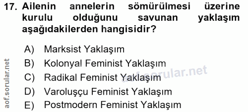 17. soru: Ailenin annelerin sömürülmesi üzerine kurulu olduğunu savunan yaklaşım aşağıdakilerden hangisidir? A) Marksist Yaklaş…
