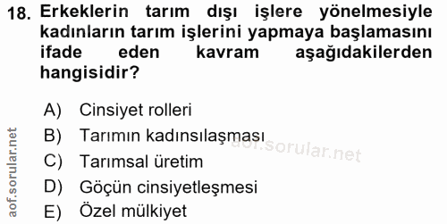 18. soru: Erkeklerin tarım dışı işlere yönelmesiyle kadınların tarım işlerini yapmaya başlamasını ifade eden kavram aşağıdakile…