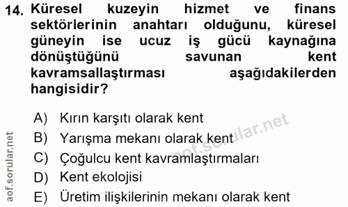 14. soru: Küresel kuzeyin hizmet ve finans sektörlerinin anahtarı oldugunu, küresel güneyin ise • ucuz iş gücü kaynağına dönüşt…