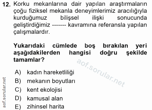 12. soru: Korku mekanlarına dair yapılan araştırmaların çoğu fiziksel mekanla deneyimlerimiz aracılığıyla kurduğumuz bilişsel i…
