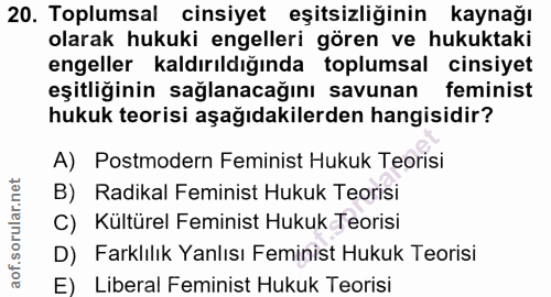 20. soru: Toplumsal cinsiyet eşitsizliğinin kaynağı olarak hukuki engelleri gören ve hukuktaki engeller kaldırıldığında toplums…