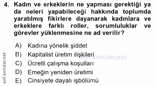 4. soru: Kadın ve erkeklerin ne yapması gerektiği ya da neleri yapabileceği hakkında toplumda yaratılmış fikirlere dayanarak k…