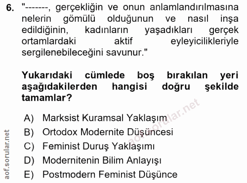 6. soru: "-, gerçekliğin ve onun anlamlandırılmasına nelerin gömülü olduğunun ve nasıl inşa edildiğinin, kadınların yaşadıklar…