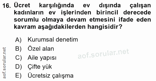 16. soru: Ücret karşılığında ev dışında çalışan kadınların ev işlerinden birincil derecede sorumlu olmaya devam etmesini ifade…