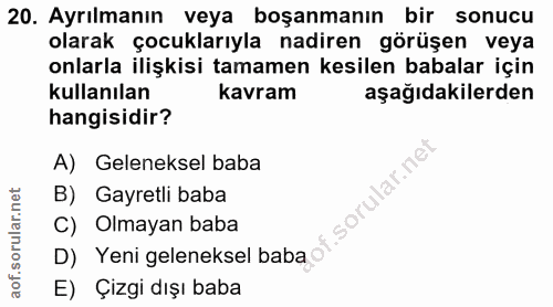 20. soru: Ayrılmanın veya boşanmanın bir sonucu olarak çocuklarıyla nadiren görüşen veya onlarla ilişkisi tamamen kesilen babal…