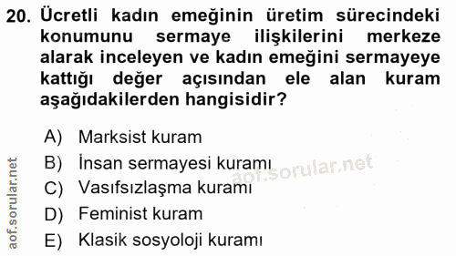 20. soru: Ücretli kadın emeğinin üretim sürecindeki konumunu sermaye ilişkilerini merkeze alarak inceleyen ve kadın emeğini ser…