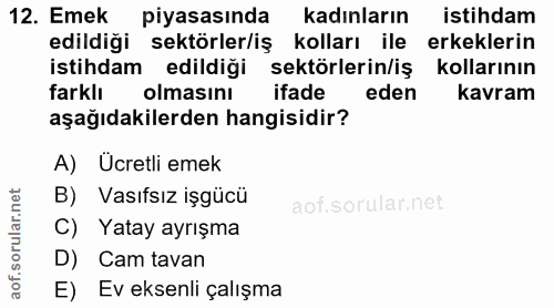 12. soru: Emek piyasasında kadınların istihdam edildiği sektörler/iş kolları ile erkeklerin istihdam edildiği sektörlerin/iş ko…