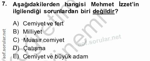 7. soru: Aşağıdakilerden hangisi Mehmet İzzet'in ilgilendiği sorunlardan biri değildir? A) Cemiyet ve fert B) Milliyet C) Muas…