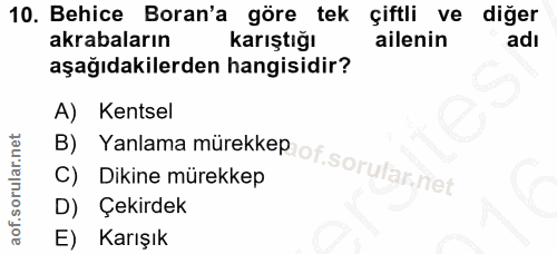 10. soru: Behice Boran'a göre tek çiftli ve diğer akrabaların karıştığı ailenin adı aşağıdakilerden hangisidir? A) Kentsel B) Y…