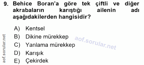 9. soru: Behice Boran'a göre tek çiftli ve diğer akrabaların karıştığı ailenin adı aşağıdakilerden hangisidir? A) Kentsel B) D…