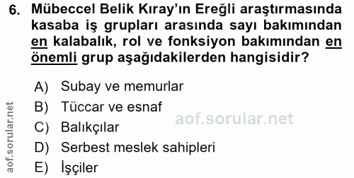 6. soru: Mübeccel Belik Kıray'ın Ereğli araştırmasında kasaba iş grupları arasında sayı bakımından en kalabalık, rol ve fonksi…