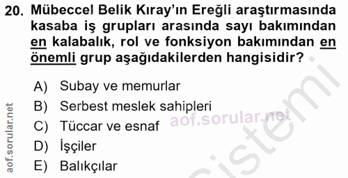 20. soru: Mübeccel Belik Kıray'ın Ereğli araştırmasında kasaba iş grupları arasında sayı bakımından en kalabalık, rol ve fonksi…