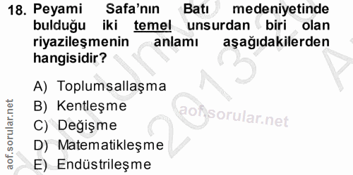 18. soru: Peyami Safa'nın Batı medeniyetinde bulduğu iki temel unsurdan biri olan riyazileşmenin anlamı aşağıdakilerden hangisi…