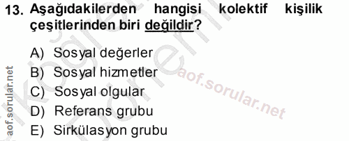 13. soru: Aşağıdakilerden hangisi kolektif kişilik çeşitlerinden biri değildir? A) Sosyal değerler B) Sosyal hizmetler C) Sosya…