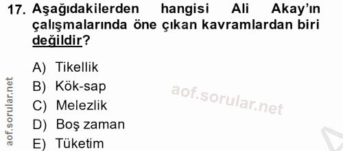 17. soru: Aşağıdakilerden hangisi Ali Akay'ın çalışmalarında öne çıkan kavramlardan biri değildir? A) Tikellik B) Kök-sap C) Me…