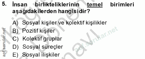 5. soru: Insan birlikteliklerinin temel birimleri aşağıdakilerden hangisidir? A) Sosyal kişiler ve kolektif kışilikler B) Pozi…