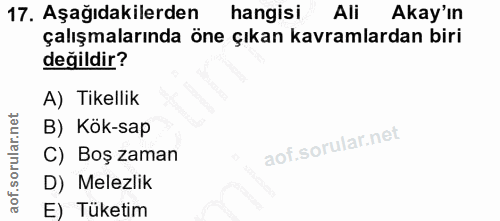 17. soru: Aşağıdakilerden hangisi Ali Akay'ın çalışmalarında öne çıkan kavramlardan biri değildir? A) Tikellik B) Kök-sap C) Bo…