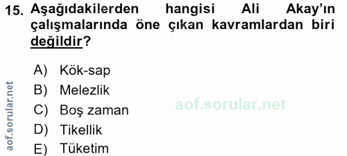 15. soru: Aşağıdakilerden ( hangisi Ali Akay'ın çalışmalarında öne çıkan kavramlardan biri değildir? A) Kök-sap B) Melezlik ar.…