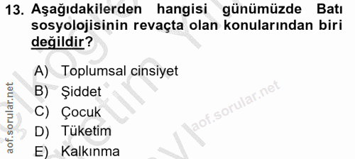 13. soru: Aşağıdakilerden hangisi günümüzde Batı sosyolojisinin revaçta olan konularından biri değildir? A) Toplumsal cinsiyet…