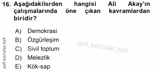 16. soru: Aşağıdakilerden hangisi Ali Akay'ın çalışmalarında öne çıkan kavramlardan biridir? A) Demokrasi B) Özgürleşim C) Sivi…