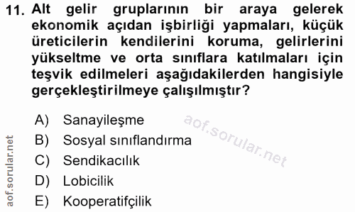 11. soru: Alt gelir gruplarının bir araya gelerek ekonomik açıdan işbirliği yapmaları, küçük üreticilerin kendilerini koruma, g…