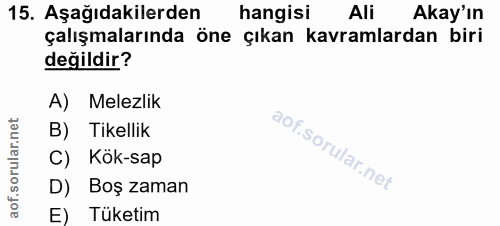 15. soru: Aşağıdakilerden hangisi Ali Akay'ın çalışmalarında öne çıkan kavramlardan biri değildir? A) Melezlik B) Tikellik C) K…