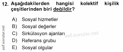 12. soru: Aşağıdakilerden hangisi kolektif kişilik çeşitlerinden biri değildir? A) Sosyal hizmetler B) Sosyal değerler rular.n…