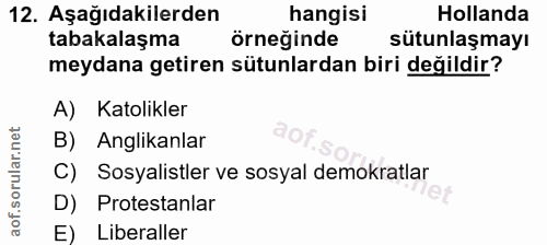 12. soru: Aşağıdakilerden hangisi Hollanda tabakalaşma örneğinde sütunlaşmayı meydana getiren sütunlardan biri değildir? A) Kat…
