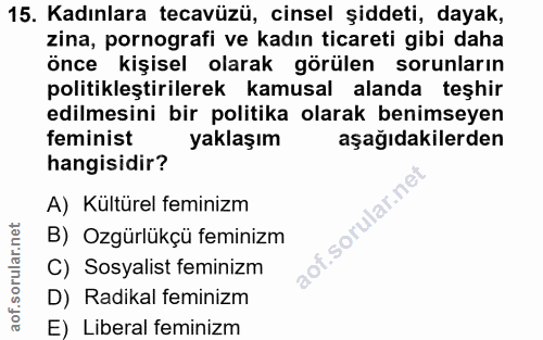 15. soru: Kadınlara tecavüzü, cinsel şiddeti, dayak, zina, pornografi ve kadın ticareti gibi daha önce kişisel olarak görülen s…