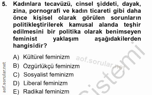 5. soru: Kadınlara tecavüzü, cinsel şiddeti, dayak, zina, pornografi ve kadın ticareti gibi daha önce kişisel olarak görülen s…